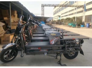 載重王電動車