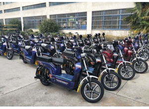 載重王電動車