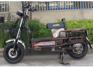 載重王電動車