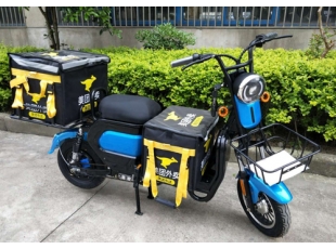 國標(biāo)電動(dòng)車自行車