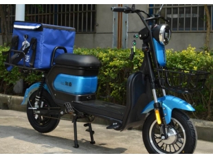 國標(biāo)電動(dòng)自行車
