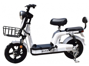 國標(biāo)電動(dòng)自行車