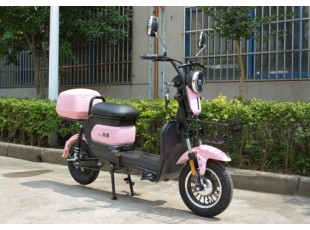 國標(biāo)電動(dòng)自行車