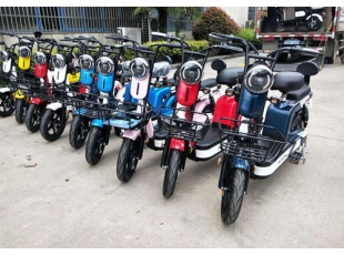 國標(biāo)電動(dòng)自行車