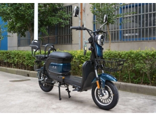 國標(biāo)電動(dòng)自行車