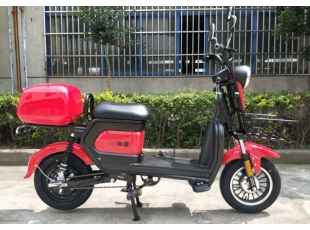 國標(biāo)電動(dòng)自行車