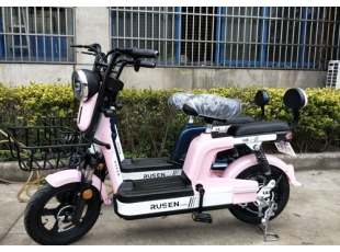 國標(biāo)電動(dòng)自行車