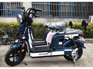 國標(biāo)電動(dòng)自行車