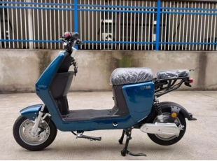 國標(biāo)電動自行車