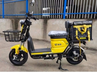 國標(biāo)電動自行車