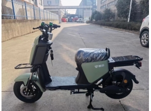 國標車系列