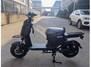 國標車系列