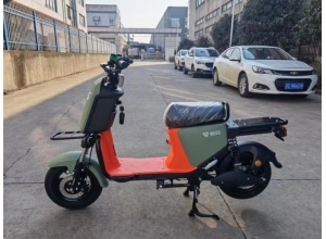 國標車系列