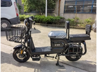 出口車系列