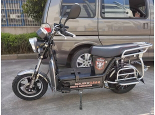 出口車系列
