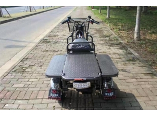 出口車系列