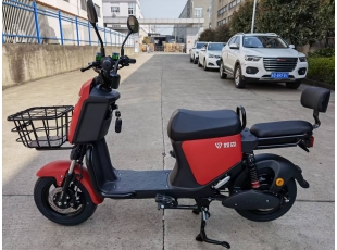 出口車系列