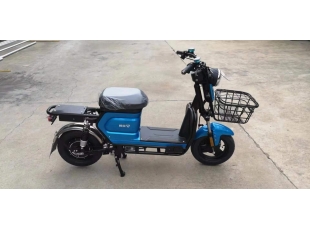 國標(biāo)車系列