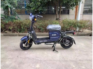 國標(biāo)車系列