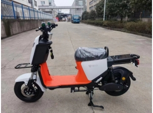 國標(biāo)車系列