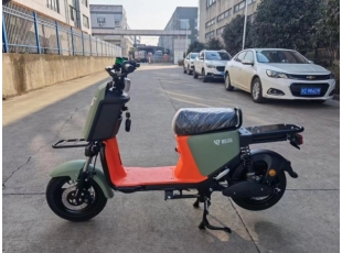 國標(biāo)車系列