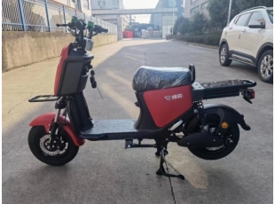 國標(biāo)車系列